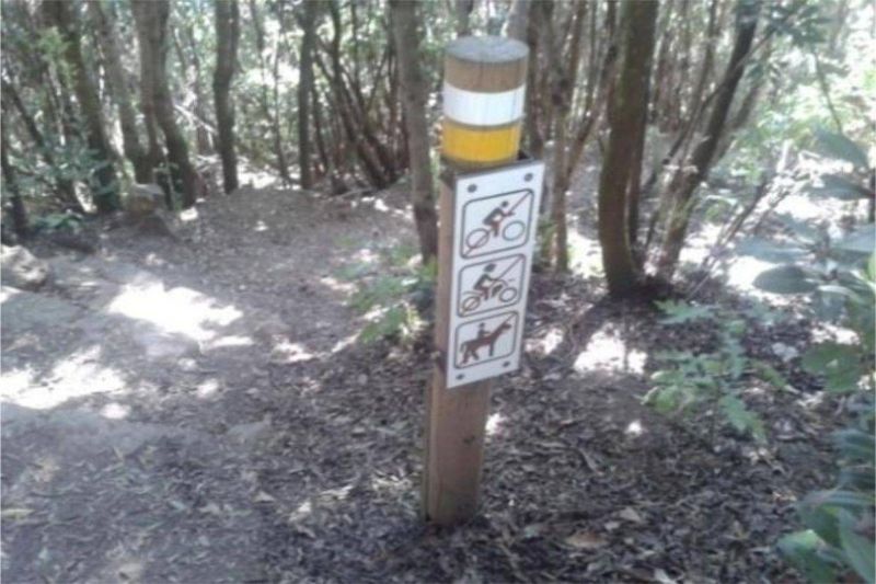 IMPORTACIÓN DE MADERA. PRODUCTOS EN MADERA TRATADA EN AUTOCLAVE ISLAS CANARIAS