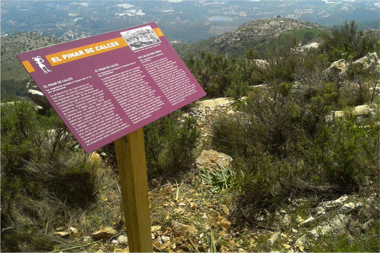 IMPORTACIÓN DE MADERA. PRODUCTOS EN MADERA TRATADA EN AUTOCLAVE ISLAS CANARIAS